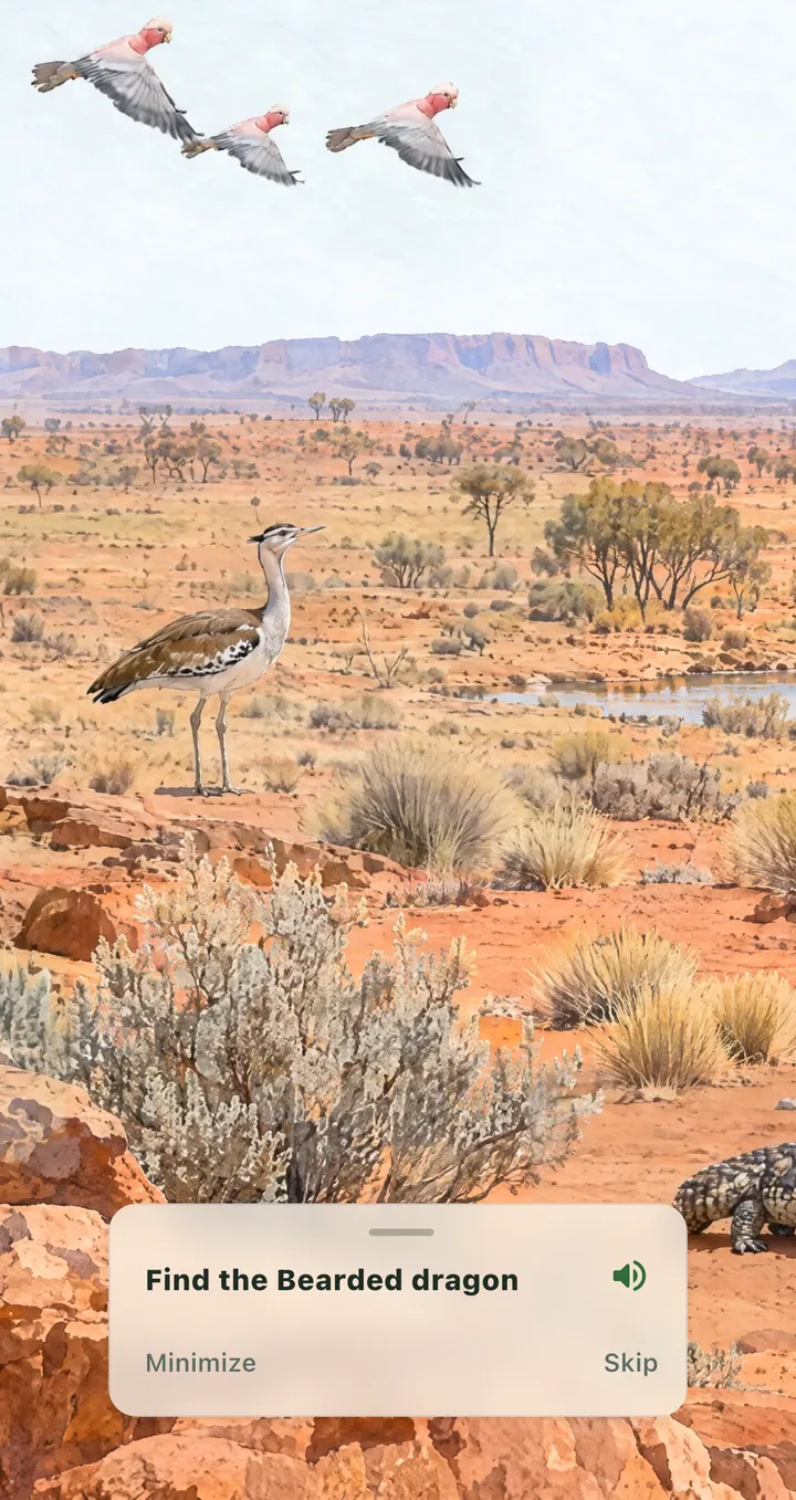 Find the bearded dragon on the outback