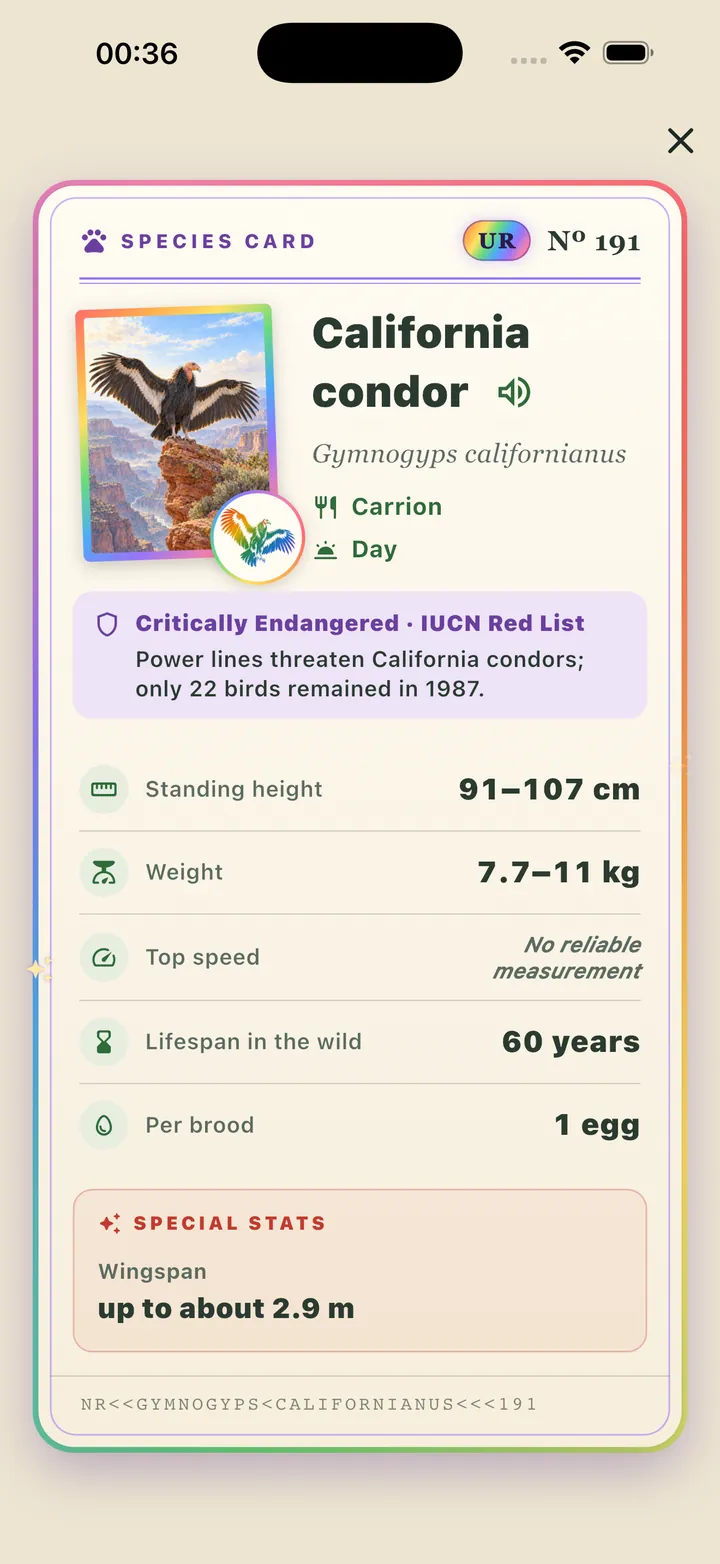 California condor species card with conservation band