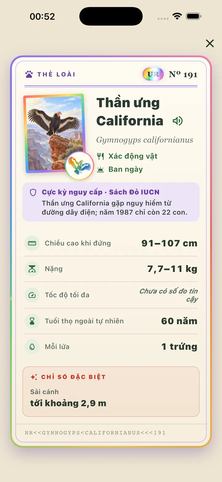 Thẻ loài kền kền California với dải bảo tồn